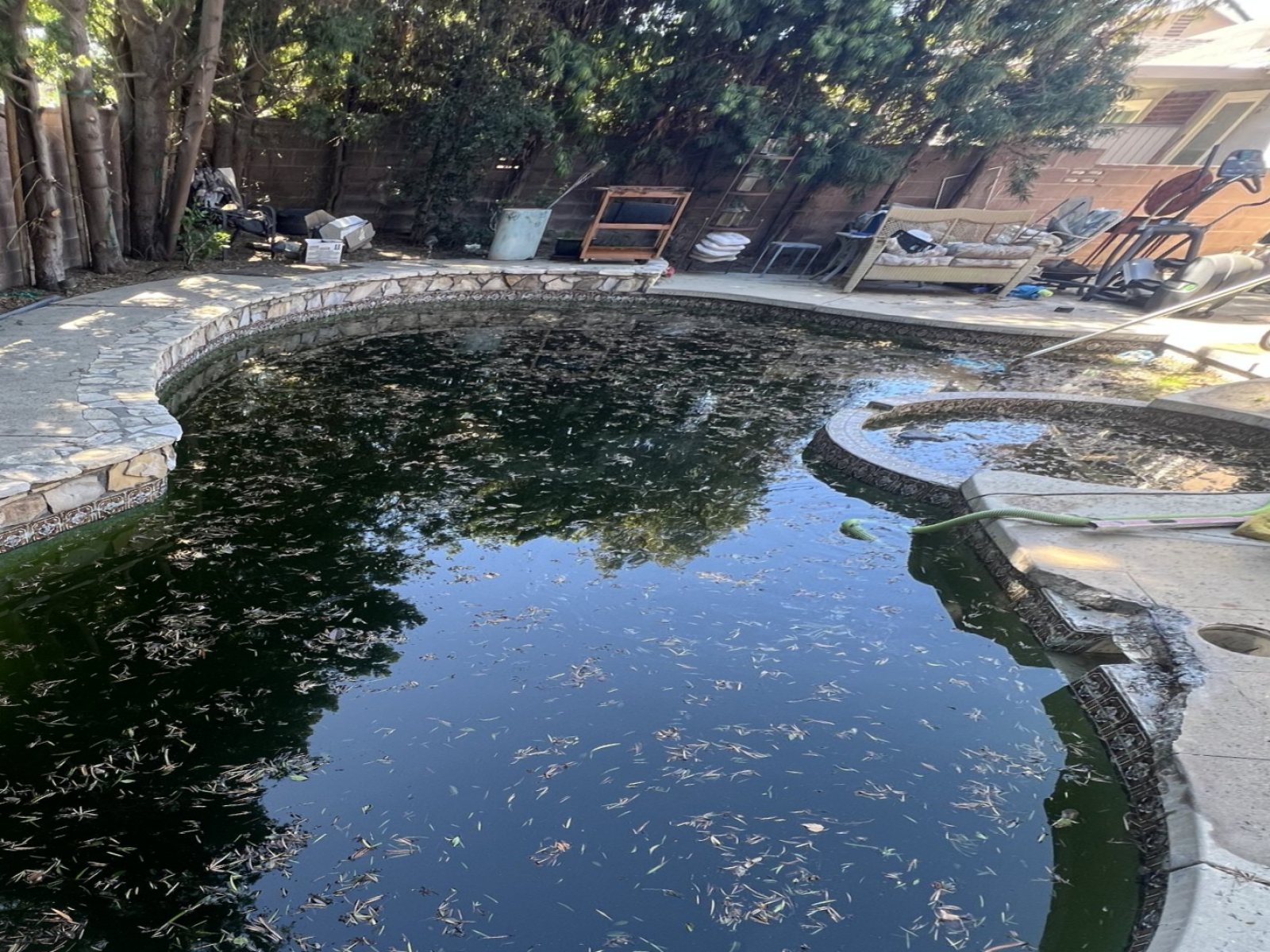 Backyard & pool before the remodel